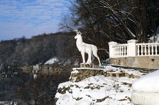 Легендарний олень стереже спокій кам'янця-подільського - фото 1