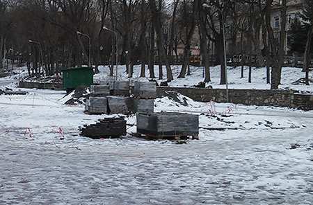 Чиновники зрізали дерево!