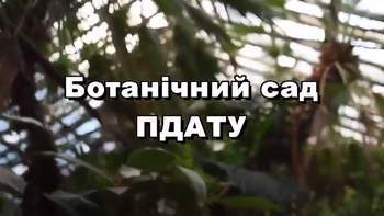 Відео з Ботанічного саду