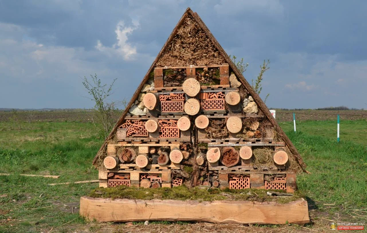 В Бакоті побудували готель для комах