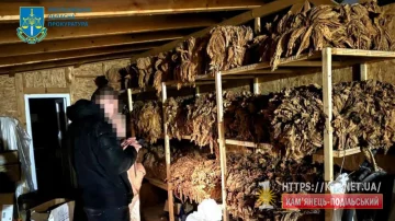 Тютюновий барон не поділився