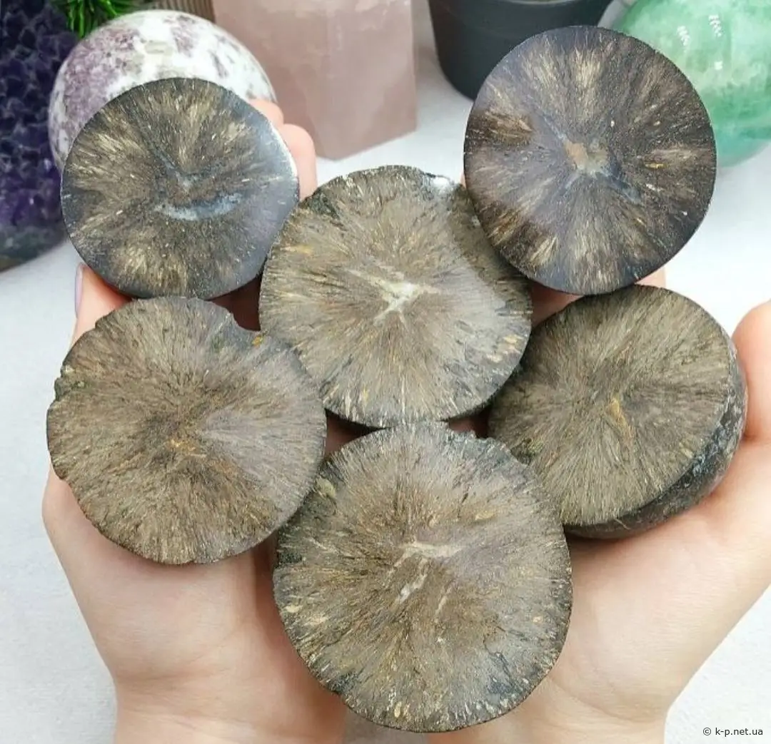 Вигляд Подільських фосфоритів