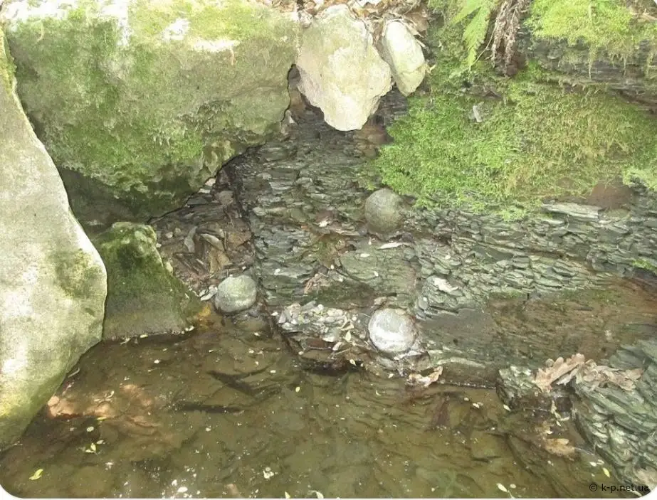 Фосфорити в Річці на Поділлі