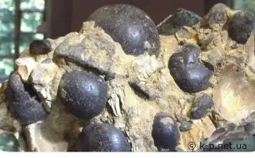 Видобуток фосфоритів у Хмельницькій області